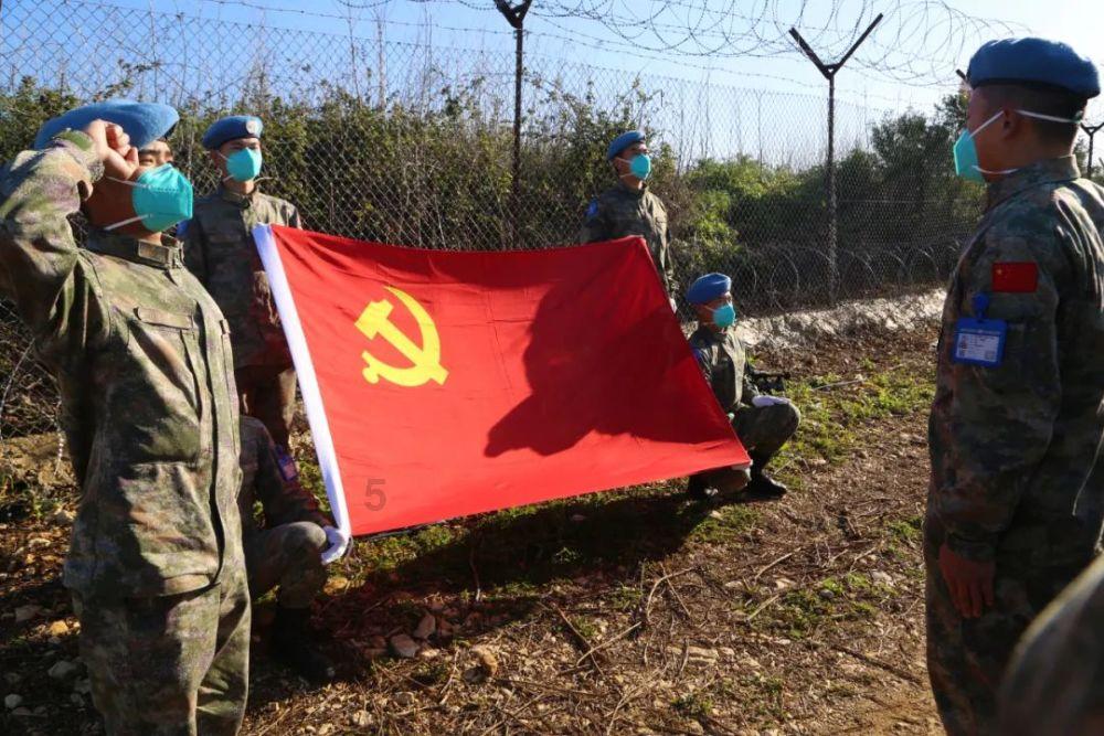营救小乌龟